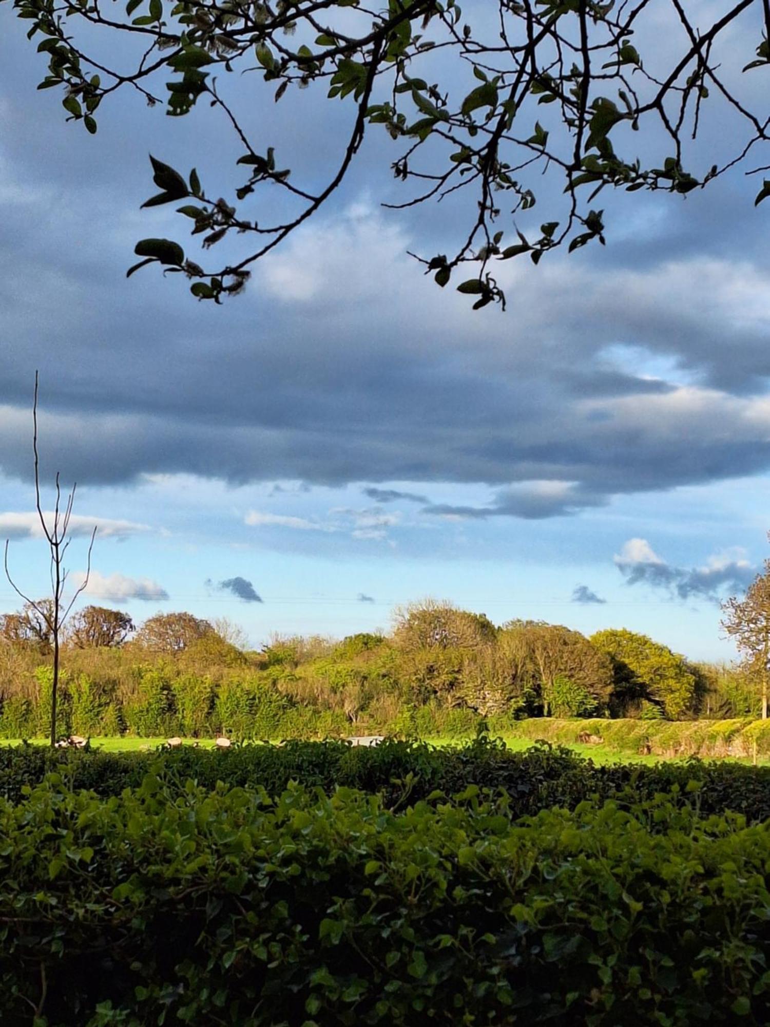 Ard Aoibhinn Roscommon Lecarrow Exterior foto