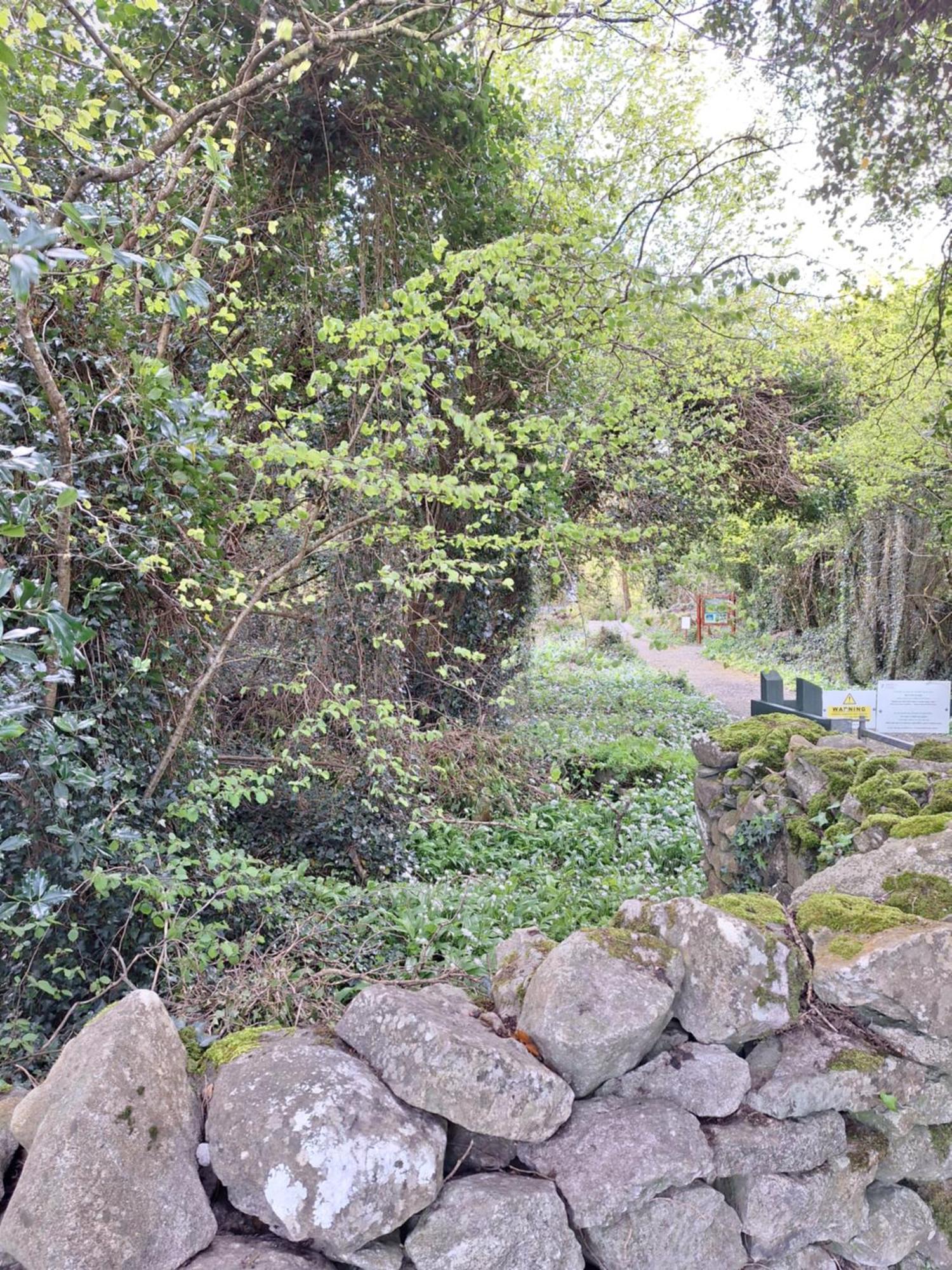 Ard Aoibhinn Roscommon Lecarrow Exterior foto